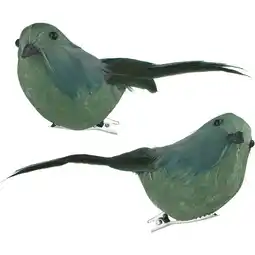 Albert Heijn AH Excellent Vogeltje op clip groen aanbieding