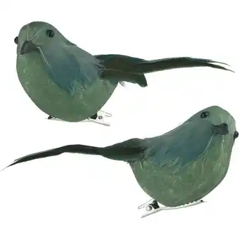 Albert Heijn AH Excellent Vogeltje op clip groen aanbieding