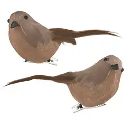 Albert Heijn AH Excellent Vogeltjes op clip bruin aanbieding