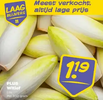 PLUS PLUS Witlof aanbieding