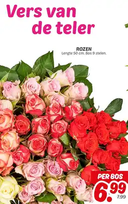 Dekamarkt Rozen aanbieding