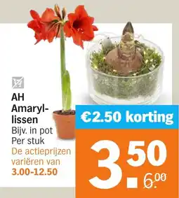 Albert Heijn AH Amaryllissen aanbieding