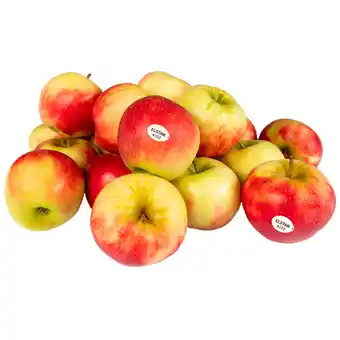 Dirk 1 de Beste Elstar aanbieding