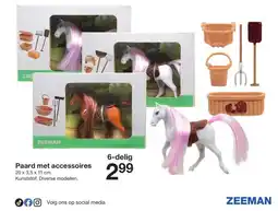 Zeeman Paard met accessoires aanbieding