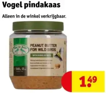 Kruidvat Vogel pindakaas aanbieding