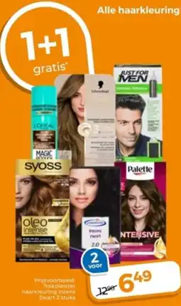 Trekpleister Alle haarkleuring aanbieding