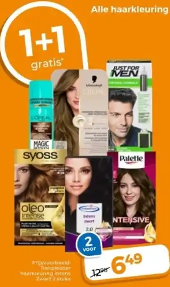 Trekpleister Alle haarkleuring aanbieding