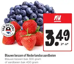 Jumbo Blauwe bessen of Nederlandse aardbeien aanbieding