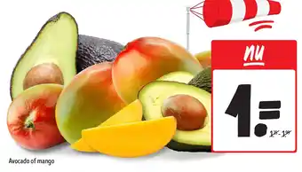 Jumbo Avocado of mango aanbieding