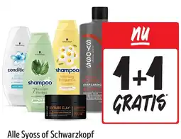 Jumbo Alle Syoss of Schwarzkopf aanbieding