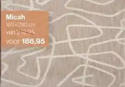 Roobol Micah aanbieding