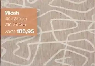 Roobol Micah aanbieding