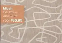 Roobol Micah aanbieding