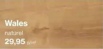 Roobol Wales naturel aanbieding