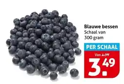Hoogvliet Blauwe bessen Schaal van aanbieding