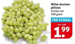 Hoogvliet Witte druiven pitloos aanbieding