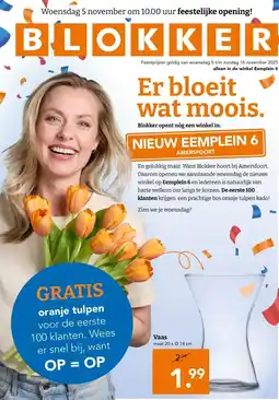 Blokker Vaas aanbieding