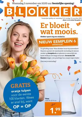 Blokker Vaas aanbieding