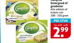 Hoogvliet Campina botergoud of grasboter aanbieding