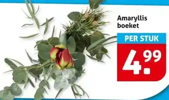 Hoogvliet Amaryllis boeket aanbieding