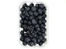 Hoogvliet Hoogvliet Blauwe bessen aanbieding
