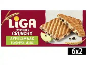Hoogvliet Liga Evergreen appel aanbieding
