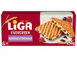 Hoogvliet Liga Evergreen bosvruchten aanbieding