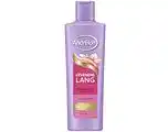 De Online Drogist Andrelon Shampoo Levendig Lang Versterkend aanbieding