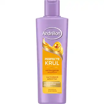 Dekamarkt Andrélon Shampoo perfecte krul aanbieding