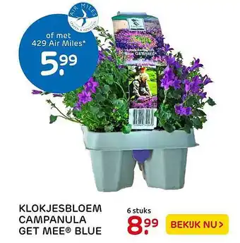 Praxis Klokjesbloem campanula get mee® blue aanbieding