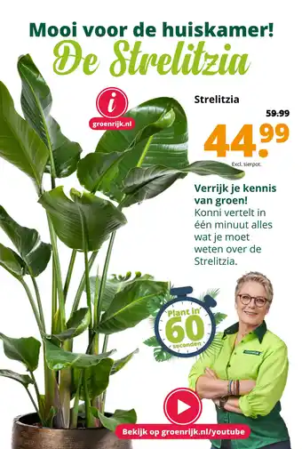 GroenRijk Strelitzia aanbieding