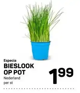 Ekoplaza Especia BIESLOOK OP POT aanbieding