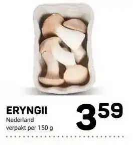 Ekoplaza ERYNGII aanbieding