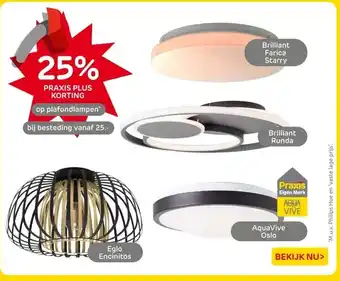 Praxis plafondlampen aanbieding