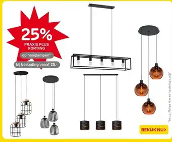 Praxis hanglampen aanbieding