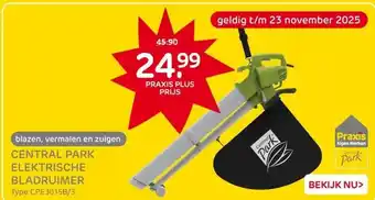 Praxis Central Park Elektrische Bladblazer- aanbieding