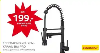 Praxis EsseBagno keukenkraan Big Pro met aanbieding