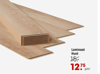 Kwantum Laminaat Hunt aanbieding