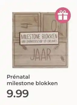 Prenatal Prénatal milestone blokken aanbieding