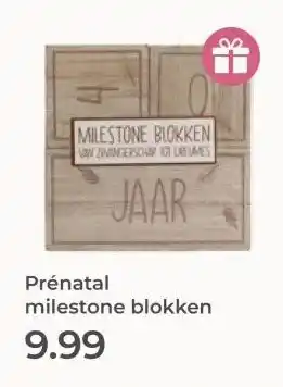 Prenatal Prénatal milestone blokken aanbieding