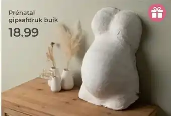 Prenatal Prénatal gipsafdruk buik aanbieding