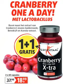 Lucovitaal CRANBERRY aanbieding