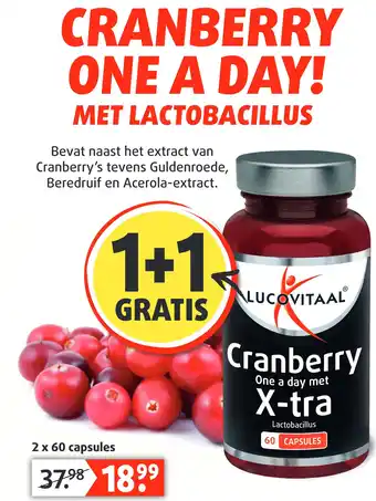 Lucovitaal CRANBERRY aanbieding