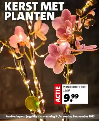 Intratuin KERST MET PLANTEN aanbieding