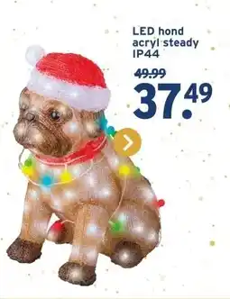 GAMMA LED hond acryl steady IP44 aanbieding