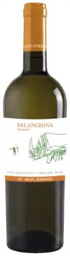Gall & Gall Di Majo Norante Falanghina 75CL aanbieding