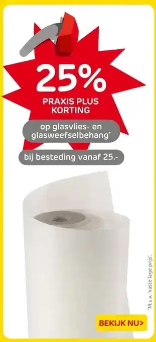 Praxis glasvlies- en glasweefselbehang aanbieding