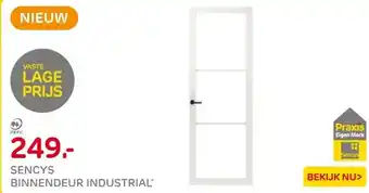 Praxis Sencys Binnendeur Industrial - 3 ruits - aanbieding