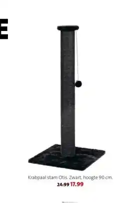 Intratuin Krabpaal stam Otis. aanbieding