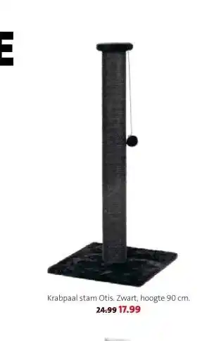 Intratuin Krabpaal stam Otis. aanbieding